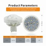 3 Best LED Amusement Light Buyer’s Guide